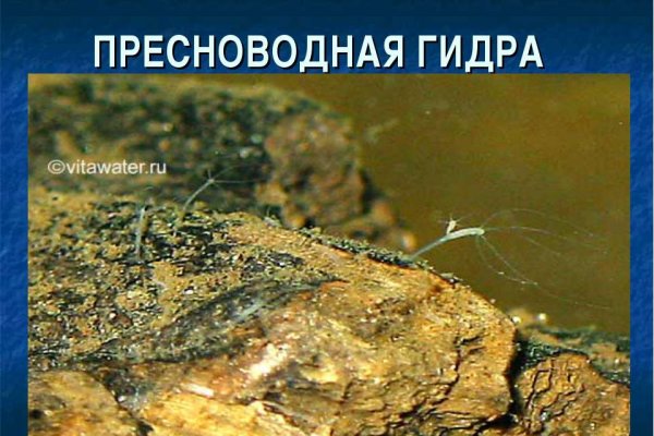 Зайти на кракен тор