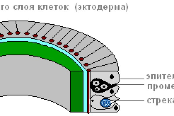 Kraken ссылка kraken014 com